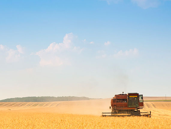 About Us