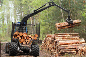 Forestry